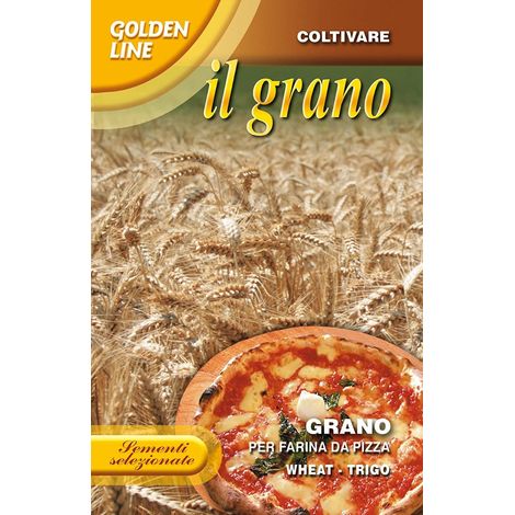 SEMENTI GRANO PER FARINA DA PIZZA 100 GR