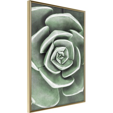 Affiche Murale Encadrée "Robust Plant" 30 x 42 cm Or