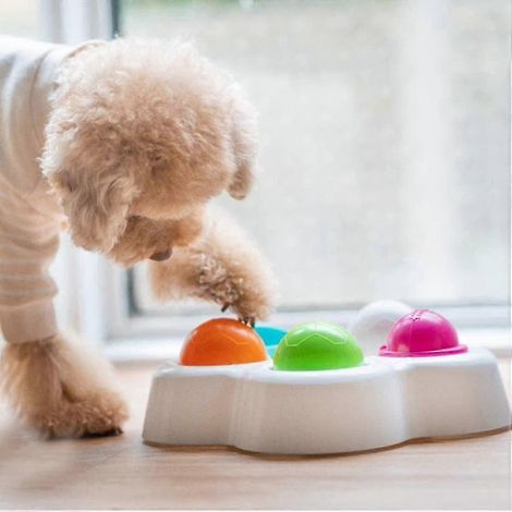 Jouet intelligent Pet IQ pour chien, jouet puzzle pour débutant, distributeur de friandises interactif pour chiots - Améliorez l'intelligence de votre chien, spécialement conçu pour
