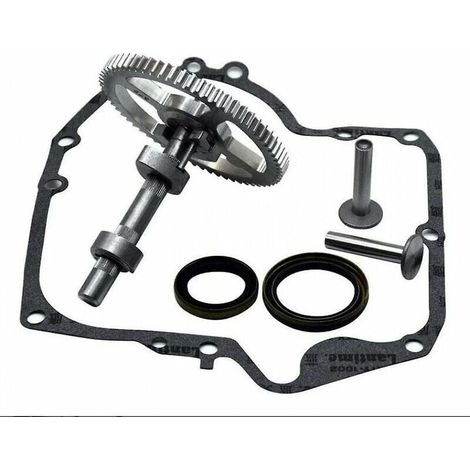 Carburateur Arbre à cames Briggs & Stratton 793880 793583 792681 791942 795102 Kit de remplacement de came avec joint d'huile 795387 et joints de carter Ruikalucky 697110 LKBD (1/4)