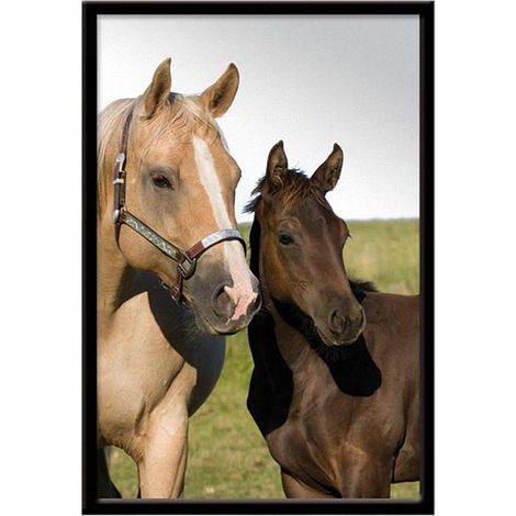 Miroir à suspendre portait de cheval