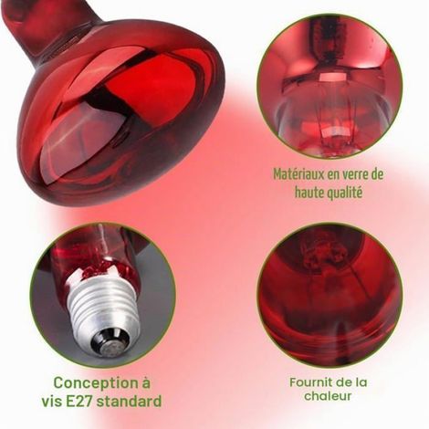 Ampoule Chauffante Reptile - Lot de 2 - 100W - Verre Résistant - Rayons UVA - Terrarium E27 MICRODERMABRASION (1/5)
