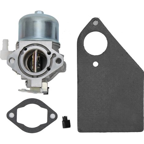 Jeu de carburateurs en alliage d'aluminium, pièces industrielles 690115 pour moteur Briggs & Stratton (1/5)