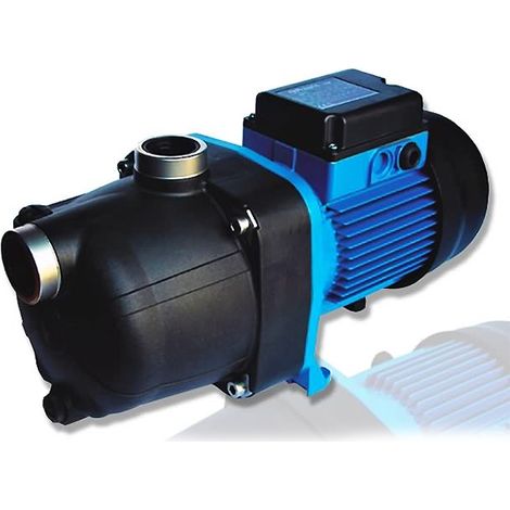 Amplificador mono de 1 hp - BP/W4530247 - Polaris -