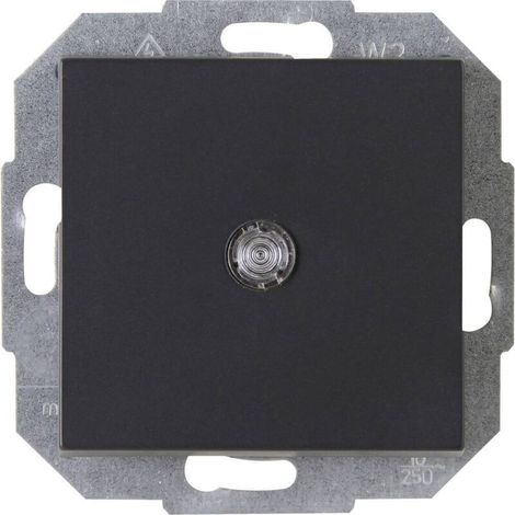 Interrupteur, Interrupteur va-et-vient 1 pièce ATHENIS ATHENIS 587665089 Insert anthracite 1 pc(s) (1/2)