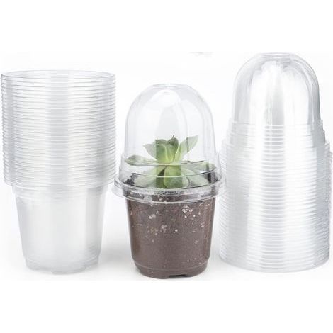 32 Pieces Pot semis Pot de Fleurs en Plastique Transparent avec Couvercle Transparent et 10 étiquettes de Plantes en Plastique 10 x 2cm (1/4)