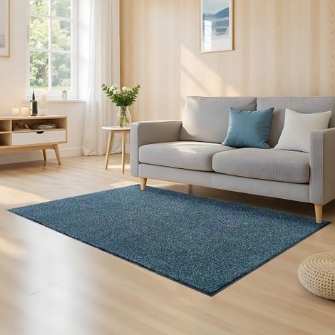 Tapis d'Entrée - 183x122 cm Paillasson Extérieur Intérieur avec (1/5)