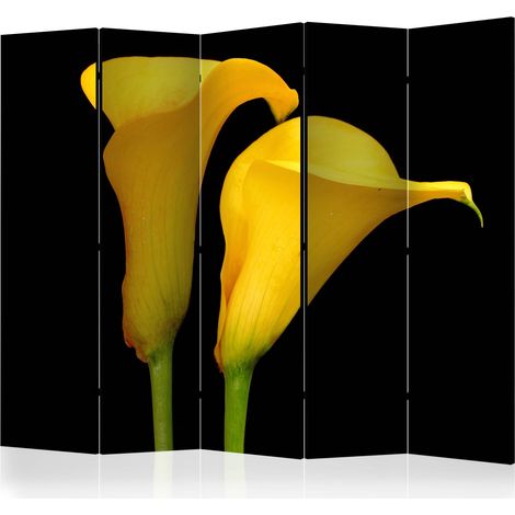 Paravento - Two yellow calla flowers on a black background II [Room Dividers] - 225x172 (1/4)