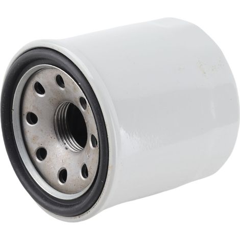 Ortviai Filtre à carburant pour tondeuse à gazon Grasshopper HH150-32430, compatible moteurs Kubota refroidis à liquide