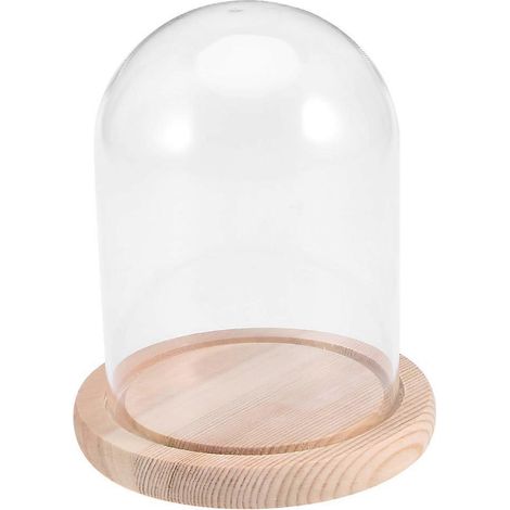 Micro-paysage 9x12cm, cloche en verre transparente à motif floral éternel, fabriquée à la main par DLY, dôme anti-poussière sur socle en bois, idéale pour la Saint-Valentin (1/3)