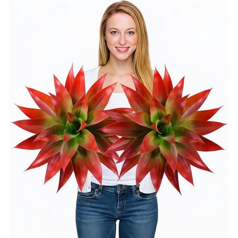 Lot de 2 agaves artificiels réalistes – Décoration intérieure extensionérieure – Plante décorative maison salon jardin – 29 feuilles, rougeâtre (1/5)