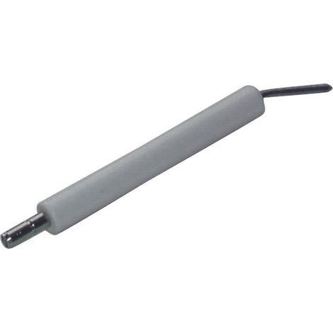 Elettrodo specifico ABF 10 (X 2) - DIFF per Bentone : 11593701 (1/2)