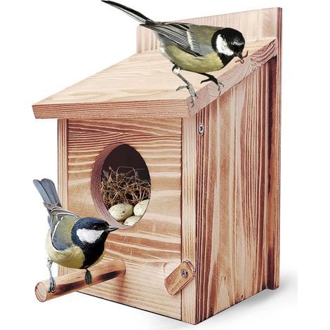 Nichoir Oiseaux - Bois Naturel - Entrée 6 cm avec Perchoir 10 cm - Toit Incliné Rainuré - Facile à Nettoyer et Installer - Pour Jardin Extérieur - 1 Pièce (1/5)