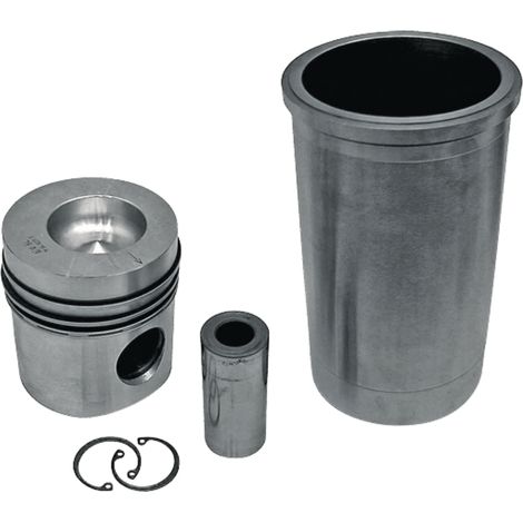 Kit di riparazione pistone motore CASE IH 3139586R95 (1/2)