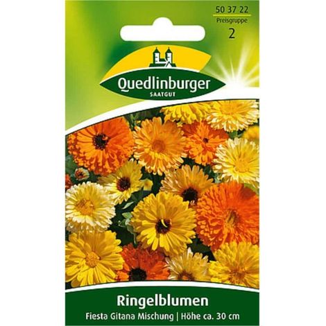 Quedlinburger Ringelblumen Fiesta Gitana Mischung - Blumensamen (1/2)