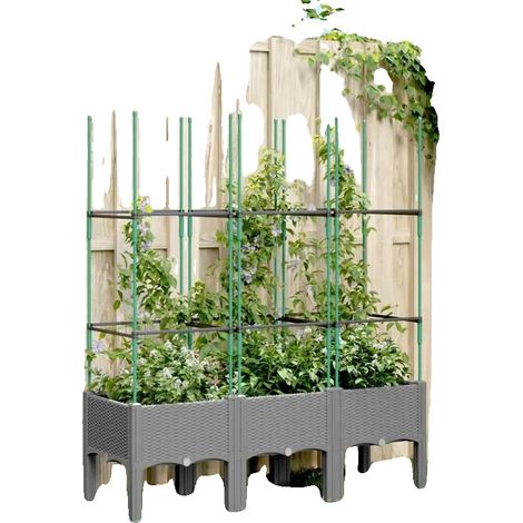 Pflanzer, Integrierter Spalier, Robuste Metallkonstruktion, Grau (1/2)