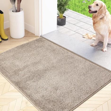 Paillasson Attrape-Poussière, Tapis de Sol Antidérapant Lavable en Machine, Tapis d'Entrée avec Microfibres Douces Absorbantes pour Chien, Entrée, Porte et Couloir, Beige, 60 x 90 cm (1/4)