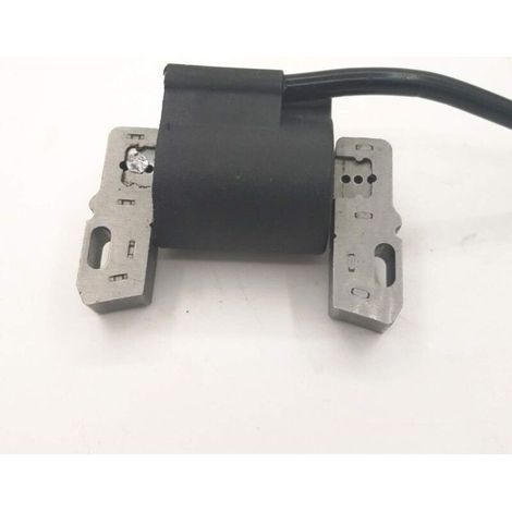 Bobine d'allumage Briggs & Stratton, convient pour 492341, 490586, 491312, 495859, 715231, 591459 (1/3)