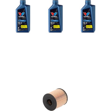 Kit filtro olio e 3L compatibile con Fiat Qubo (225) 1.4 54kw dal 2008 (1/3)