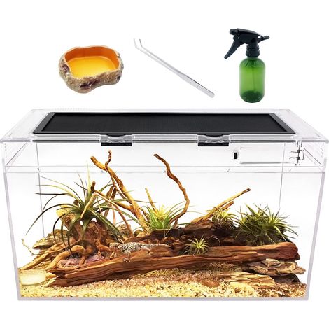 Terrarium pour Reptiles en Polycarbonate Solide Réservoir d'Élevage Transparent pour Lézards Gecko Éléments Essentiels avec Bol Alimentaire Pince et Vaporisateur 50x25x28cm (1/5)