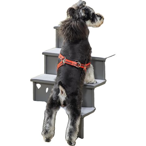 Échelle pour chien, 4 marches, marches rembourrées (1/5)