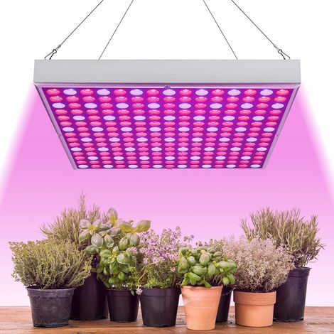 Lampada LED da coltivazione da 45 W, spettro completo, 225 LED (luce rossa e blu), ideale per la crescita e la germinazione delle piante in idroponica (1/5)