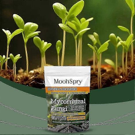 Champignons mycorhiziens, stimulateur racinaire biologique - 100 g (1/4)