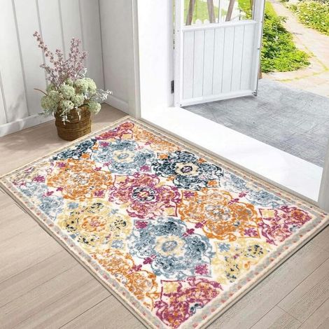 Entrance Mat Indoor Doormat 60 x 90 cm, Absorbent Kitchen Front Sink Mat, Non-Slip and Machine Washable Animal Mats for Entryway, Hallway, Kitchen, Door (1/5)