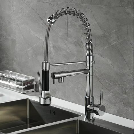 Küchenarmatur mit ausziehbarem Brausekopf und 2 Strahlarten, professionelle Küchenarmatur mit zwei Ausläufen, Edelstahl (1/5)