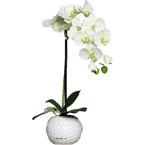 Orchidee artificielle crème Vert1 hampe en pot Ceramique Blanc H 46 cm - couleur: Jaune-vert