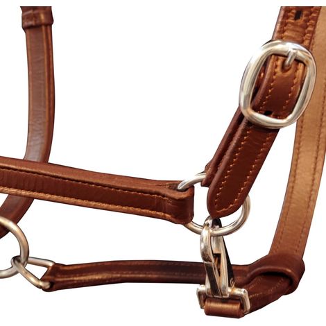 Licol Licou en cuir réglable pour écurie Poney Marron