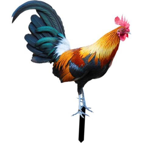 Hahn-Gartenstecker, Huhn-Ornament, Hofkunst, Tierstatue für Hinterhof, Boden, Rasen, 21,5 cm x 25 cm (1/5)