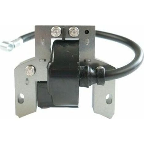 Bobine allumage Briggs et Stratton 591420 (1/4)
