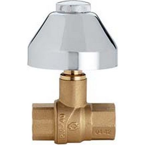 1PZ VALVOLA  A SFERA "EVOLUTION" FF CON CAPPUCCIO - FF 1/2"