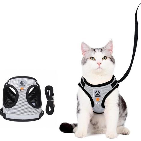 Pettorina per gatti con guinzaglio da 1,5 m, pettorina traspirante anti-fuga per cuccioli, facile da indossare, pettorina riflettente per gatti da 1,5 m, taglia XS (1/5)