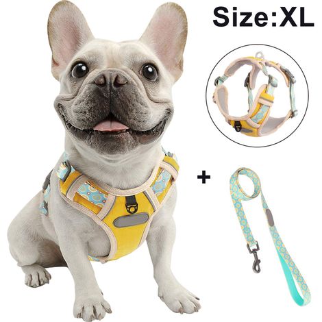 Harnais de poitrine pour chien avec corde de traction, gilet respirant pour animaux de compagnie pour la promenade, le dressage et le contrôle en extérieur pour les races moyennes et grandes.