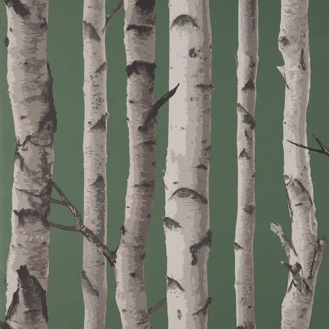 Fine Decor Birch Trees Dark Green Wallpaper Modern Contemporary Paste The Wall (1/4)
