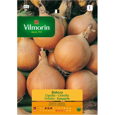 Vilmorin langsame Zwiebelsamen S-1 616, 5 g