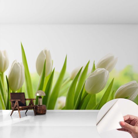 Selbstklebend Tapete modern - Wanddeko für Küche - Klebefolie Wand - luxus Look Weiße Tulpen 416x254 cm (1/5)