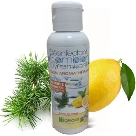 DEPOLLUANT CONCENTRE SPECIAL DYNAMISANT REVITALISANT 125ML (1/5)