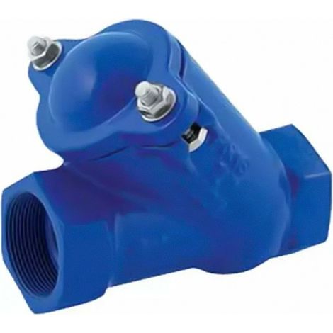 Dab Pumps Valvola di ritegno a palla 2" filettata 60160627