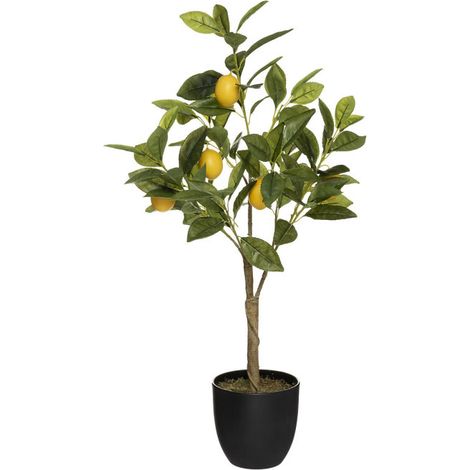 Plante Artificielle "Citronnier" 73cm Multicolore (1/3)