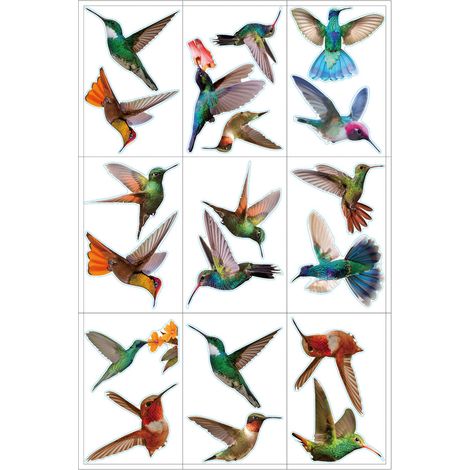 Autocollant Anti-Collision Oiseaux - Colibri - Pour Vitre Porte-Fenêtre Baie Vitrée - Sans Colle - Réutilisable - 18 Pièces (1/5)