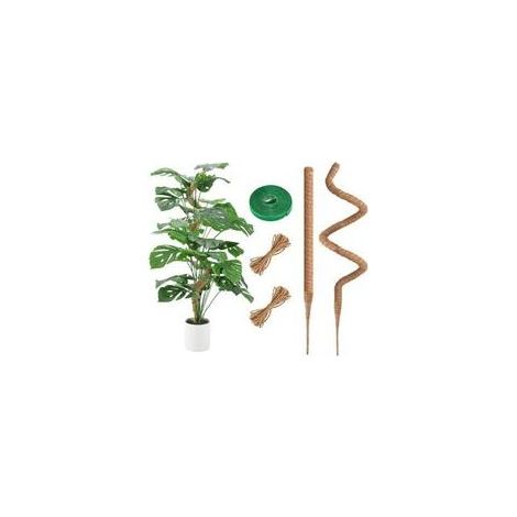 2 Pack Monstera Tuteur 120cm en Coco, Flexible en Mousse avec Accessoires, Fibre de Coco pour Plantes Grimpantes Indoor (1/4)