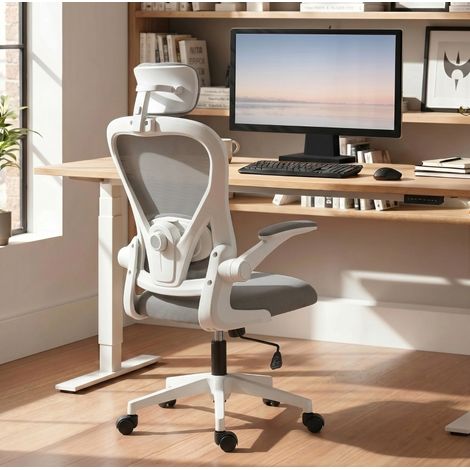 Silla de oficina ergonómica gris con soporte lumbar y reposabrazos abatibles OKMYHOME (1/5)