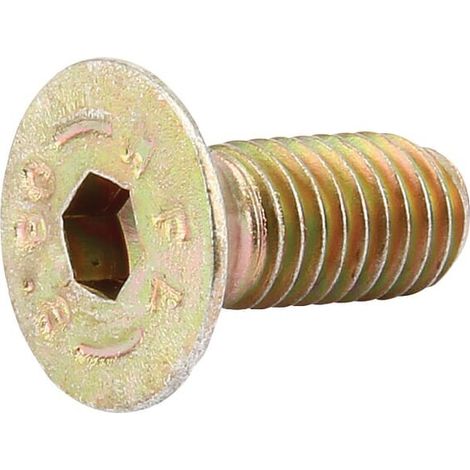 Tornillo M8x20 Accord VICON KG00861661