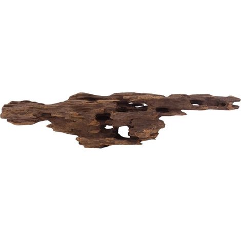 L Honey Comb Wurzel Nr.2980 Holz Deko Aquascaping