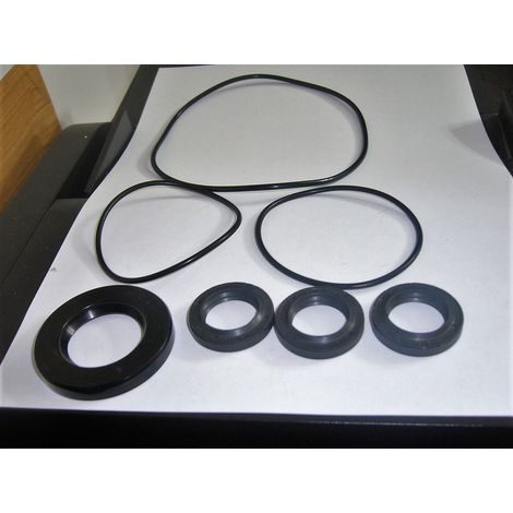 KIT TENUTE OLIO POMPA IDROPULITRICE ANNOVI REVERBERI 42170 1018 1020 1291