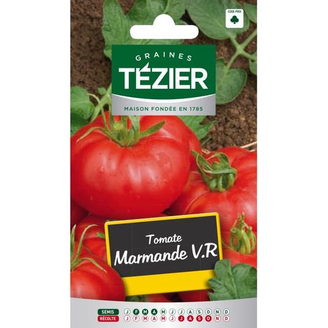 Tezier - Tomate Marmande V,R (1/2)