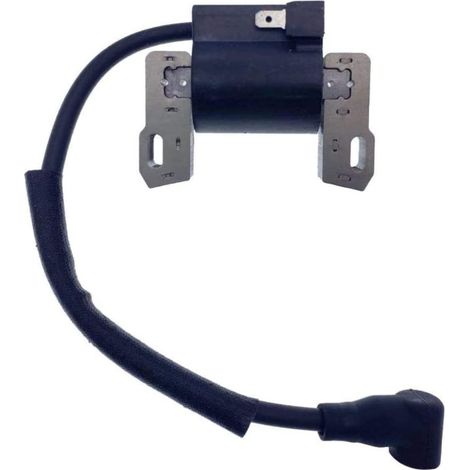 Bobine d'allumage 691060 799651 845126 492341 843931 592376 4045A7 (1/5)